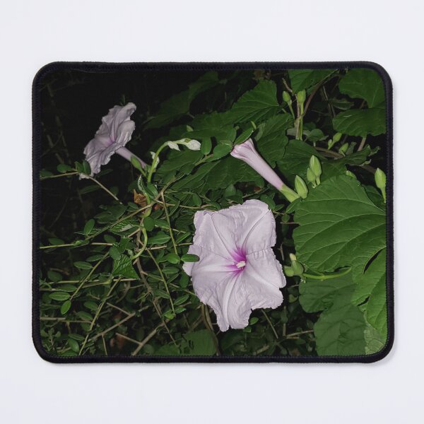 Item preview, Moonflowers designed and sold by Bugs and Rockets.