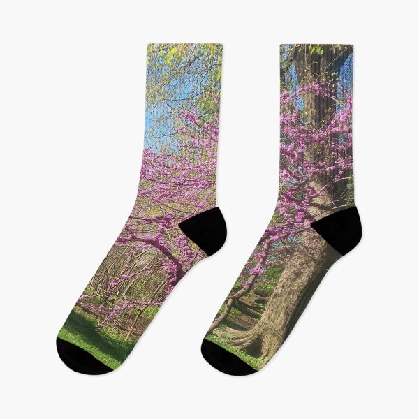 Item preview, Blooming Spring Scenic Park Landscape designed and sold by Deborah Camp.