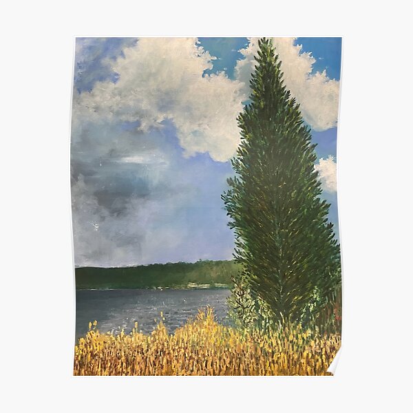 Coastal Tree Coming Storm Poster