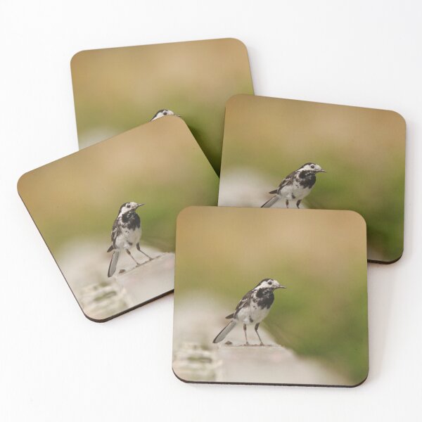 Item preview, Curious wagtail designed and sold by miradorpictures.
