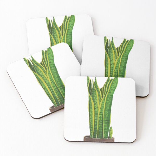 Item preview, Sansevieria Trifasciata / Snake Plant designed and sold by Dwi purbawa Putra.