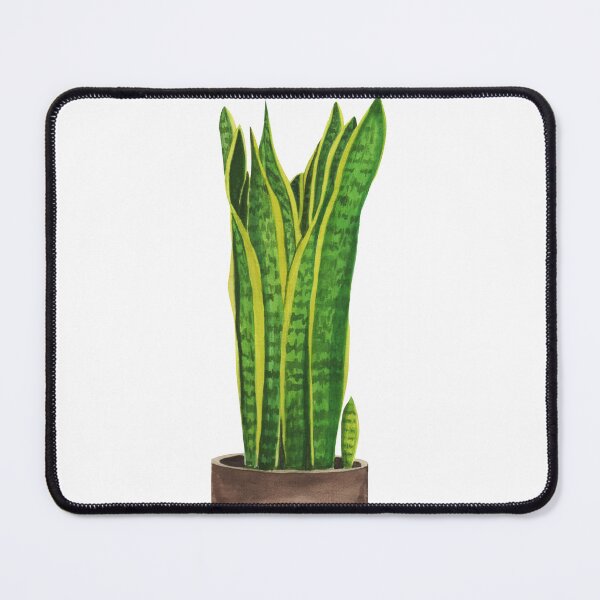 Item preview, Sansevieria Trifasciata / Snake Plant designed and sold by Dwi purbawa Putra.