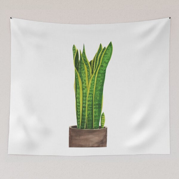 Item preview, Sansevieria Trifasciata / Snake Plant designed and sold by Dwi purbawa Putra.