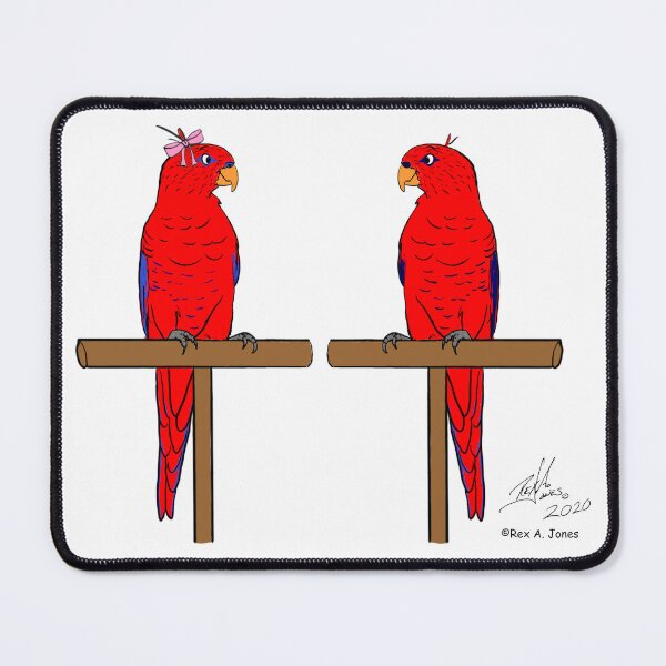 Item preview, Crazy Bird Person with Red Lorikeets designed and sold by Laughing Parrot Studio.