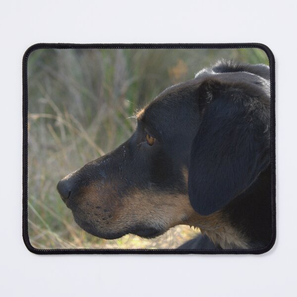 Item preview, Big Sal designed and sold by DeborahMcGrath.
