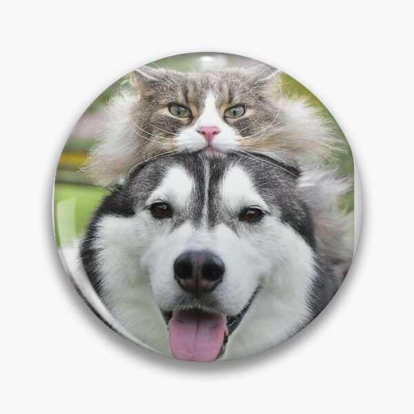 Artikelvorschau, Hund und Katze entworfen und verkauft von Robert-Store.