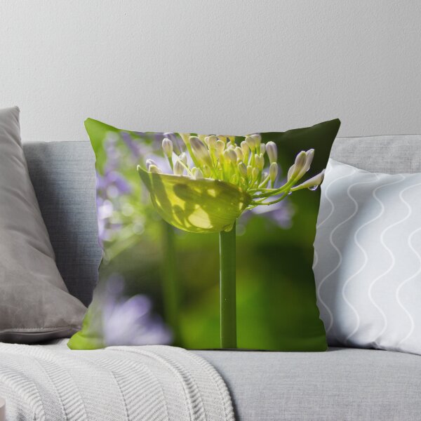 Aperçu de l'œuvre Agapanthus Backlit  créée et vendue par DIANE  FIFIELD.