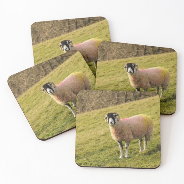 Item preview, Swaledale Sheep, Yorkshire Dales designed and sold by heidipics.