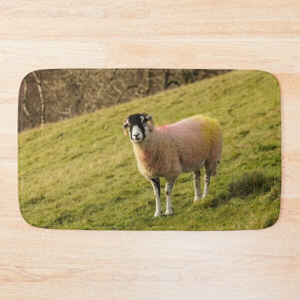 Item preview, Swaledale Sheep, Yorkshire Dales designed and sold by heidipics.