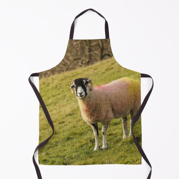 Item preview, Swaledale Sheep, Yorkshire Dales designed and sold by heidipics.