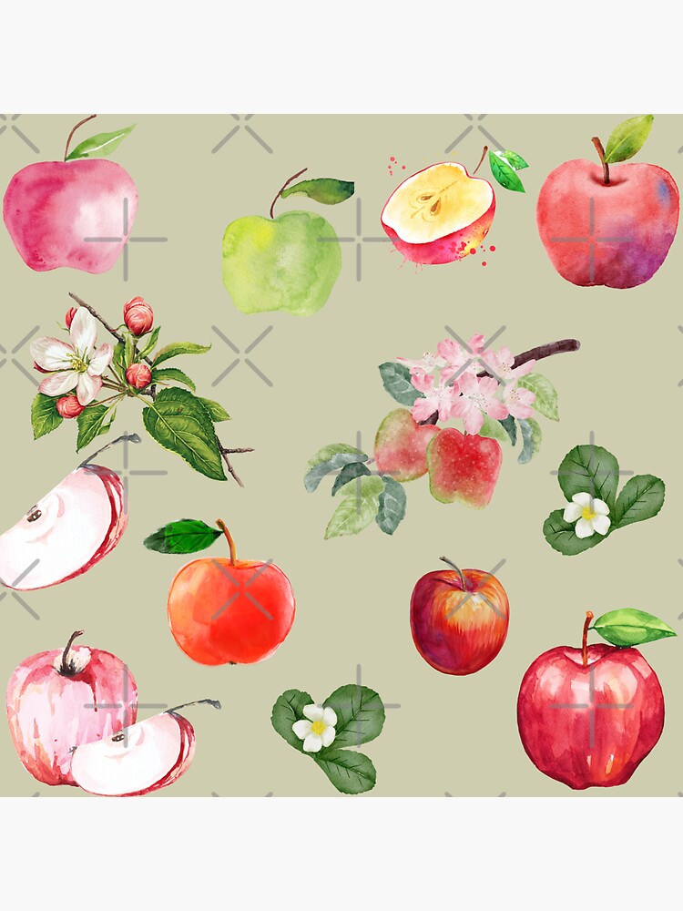 Watercolor Apples Vinyl