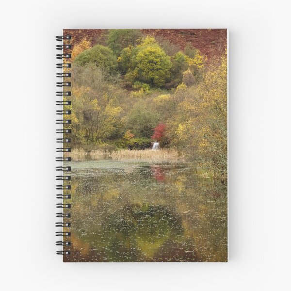 Item preview, Clydach Vale Country Park, Rhondda Valley designed and sold by heidipics.
