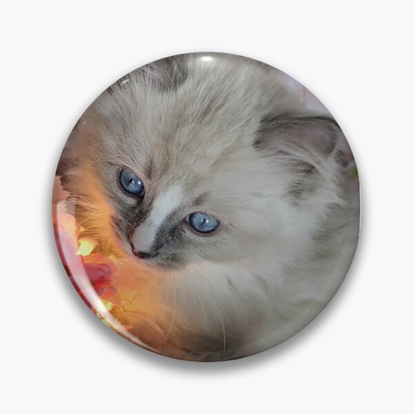 Item preview, Ragdoll kitten  designed and sold by Fluffycat2020.