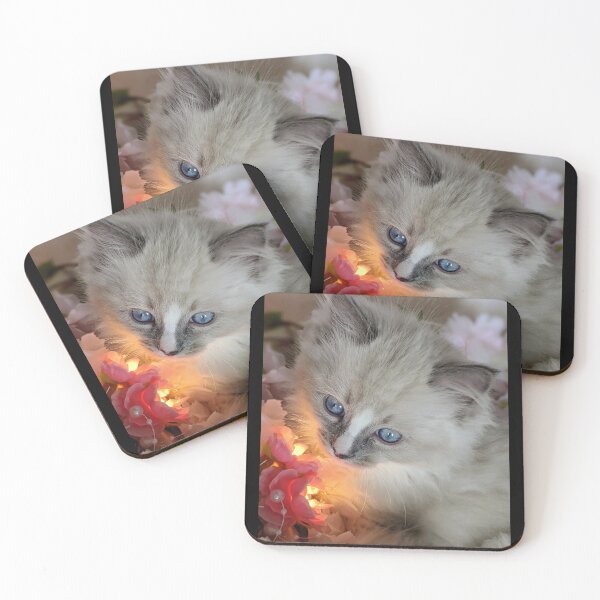 Item preview, Ragdoll kitten  designed and sold by Fluffycat2020.