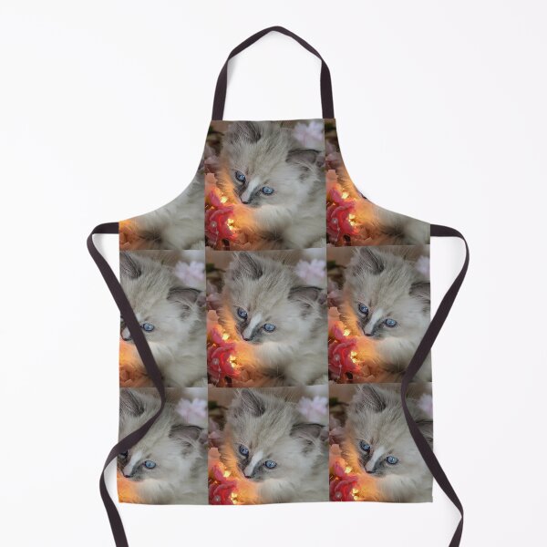 Item preview, Ragdoll kitten  designed and sold by Fluffycat2020.