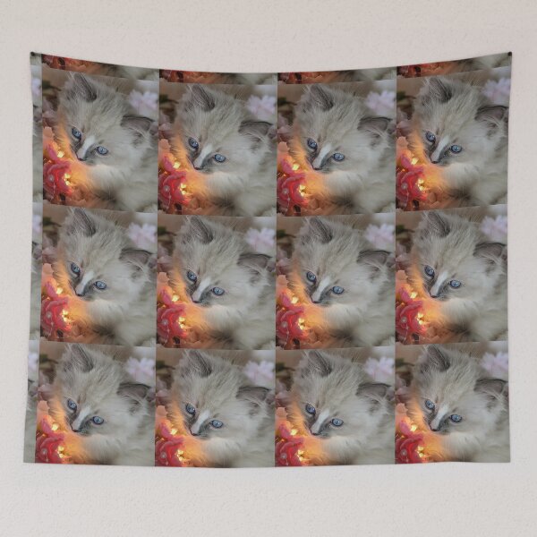 Item preview, Ragdoll kitten  designed and sold by Fluffycat2020.