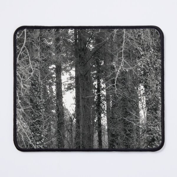 Item preview, Another day, another forest designed and sold by McGaggs.