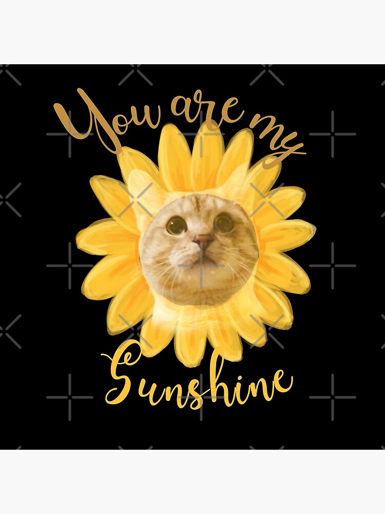 "You are my sunshine cat sunflower " Poster for Sale by Drahmed Redbubble