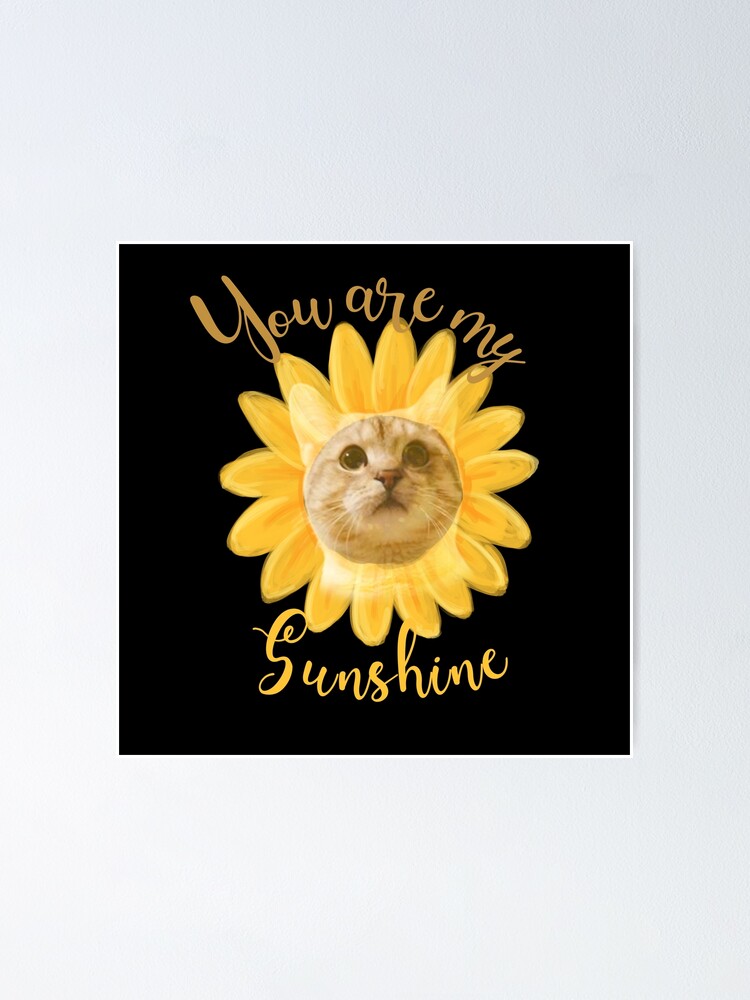 "You are my sunshine cat sunflower " Poster for Sale by Drahmed Redbubble