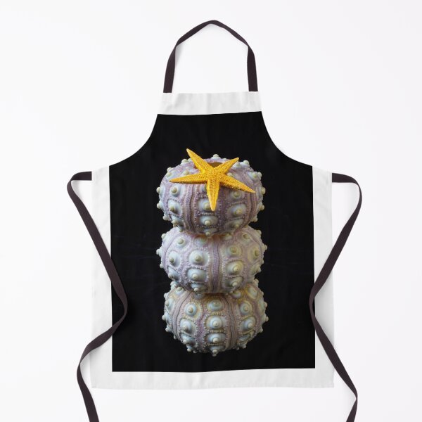 Item preview, Starfish On Stacked Sea Urchins designed and sold by Garry Gay.