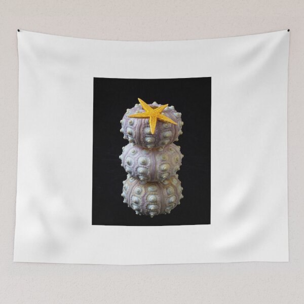 Item preview, Starfish On Stacked Sea Urchins designed and sold by Garry Gay.
