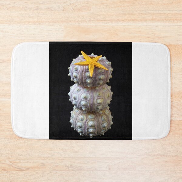 Item preview, Starfish On Stacked Sea Urchins designed and sold by Garry Gay.
