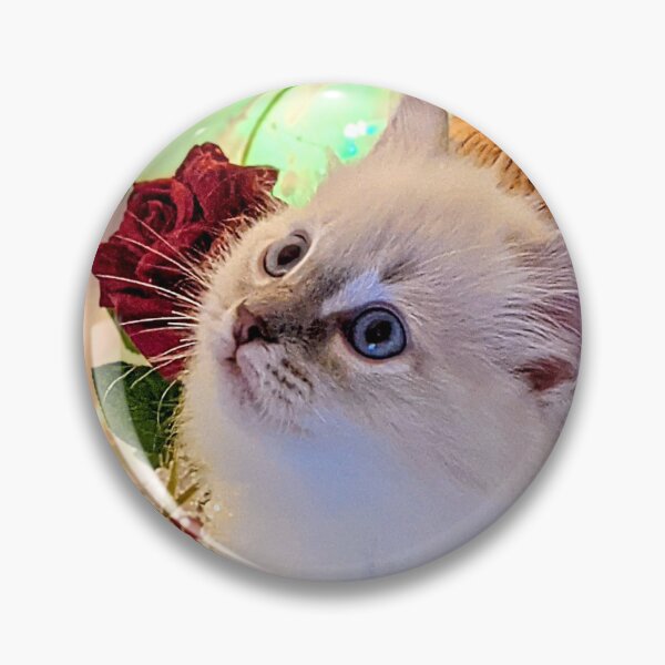 Item preview, Ragdoll kitten  designed and sold by Fluffycat2020.