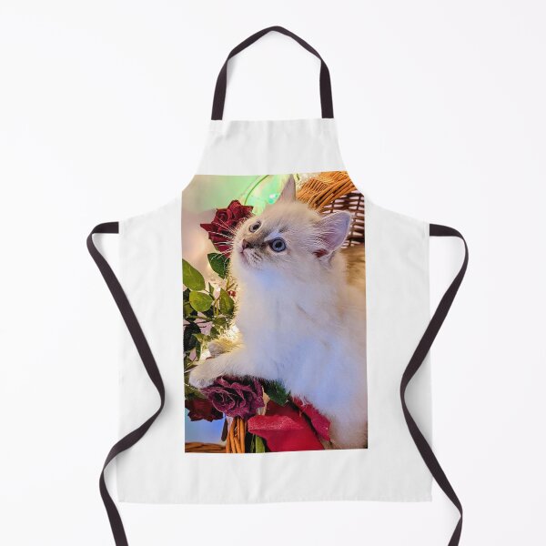 Item preview, Ragdoll kitten  designed and sold by Fluffycat2020.