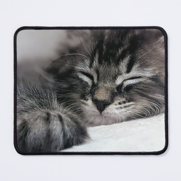 Item preview, Sleepy tabby kitten designed and sold by Fluffycat2020.
