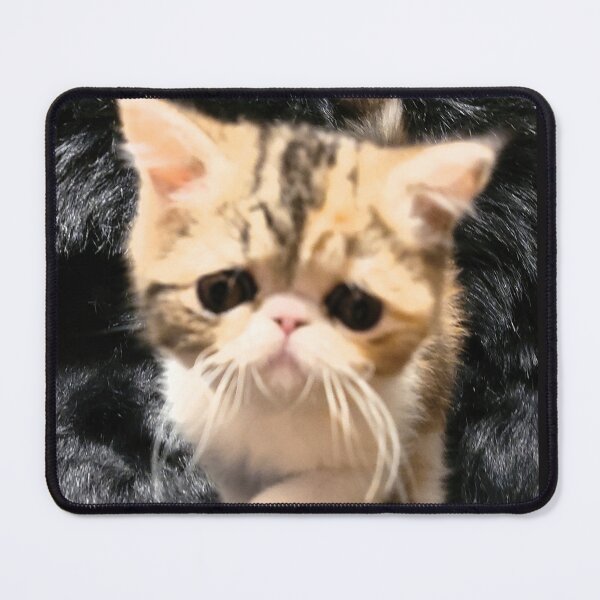 Item preview, Sad kitty remastered designed and sold by ArtfulSoules.