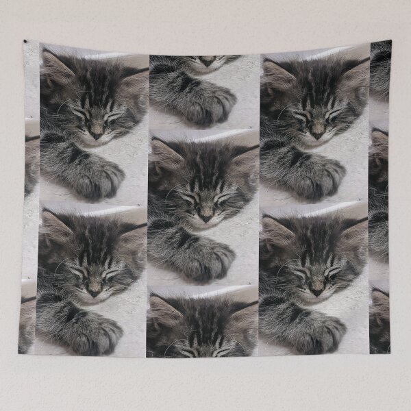Item preview, Sleepy tabby kitten designed and sold by Fluffycat2020.