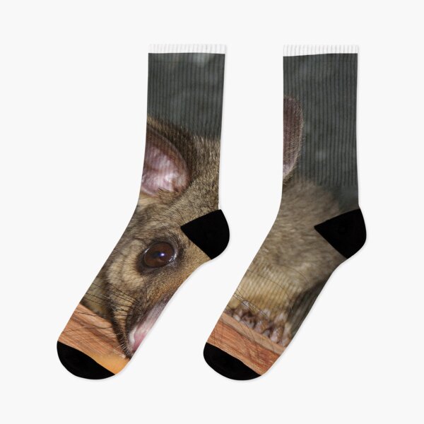 Item preview, Cute Australian Possum with big eyes designed and sold by FranWest.