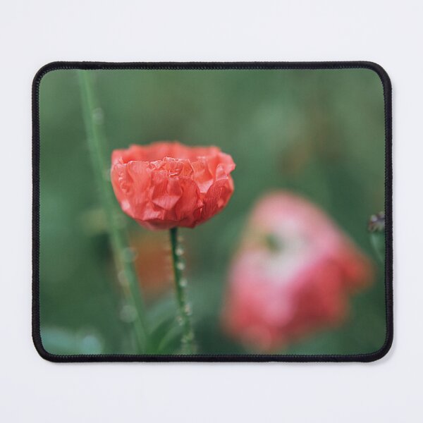 Item preview, Poppy Flower designed and sold by EmelinaPhoto.