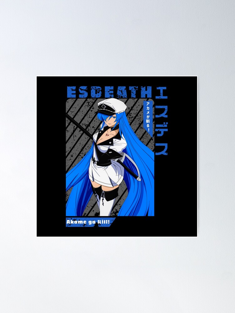 Esdeath Akame Ga Kill Matte Finish Poster Paper Print - Animation