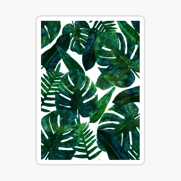 Perceptive Dream, Tropical Jungle Nature Botanical Watercolor Painting, Palm Monstera Bohemian Illustration Sticker