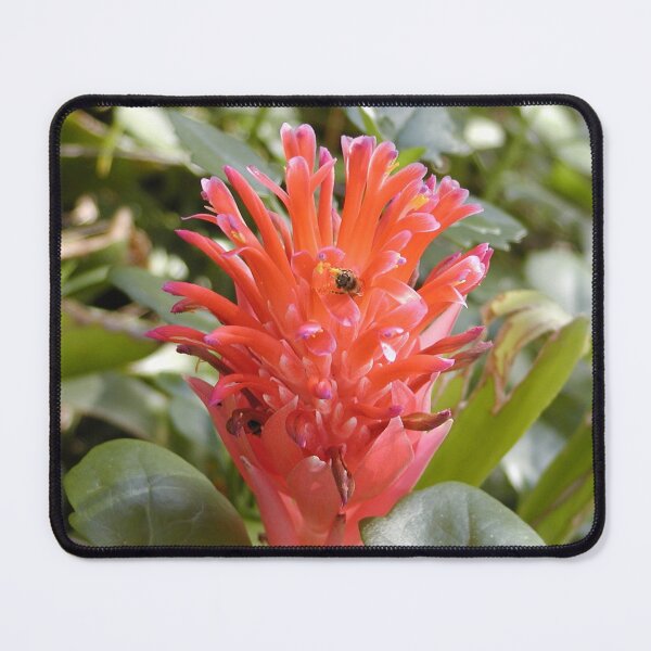 Item preview, Australian Native Flower with Bees designed and sold by MottoDigging.
