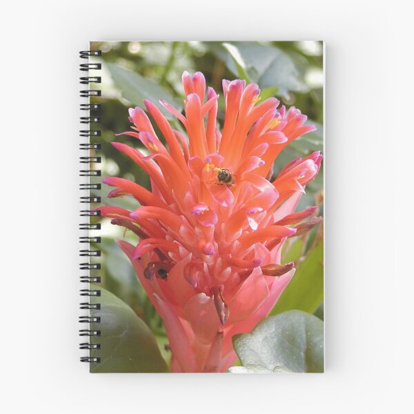 Item preview, Australian Native Flower with Bees designed and sold by MottoDigging.