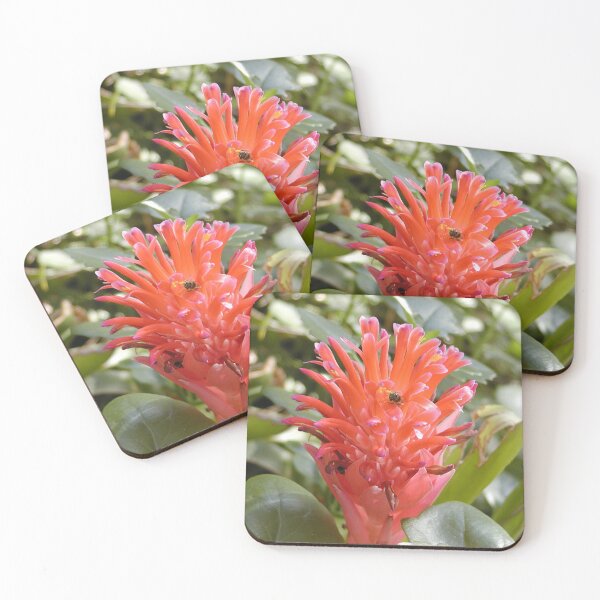 Item preview, Australian Native Flower with Bees designed and sold by MottoDigging.