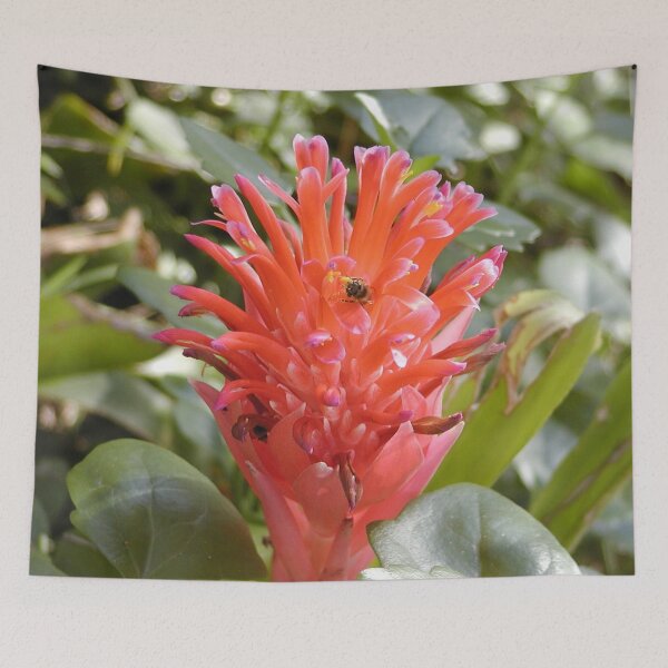 Item preview, Australian Native Flower with Bees designed and sold by MottoDigging.