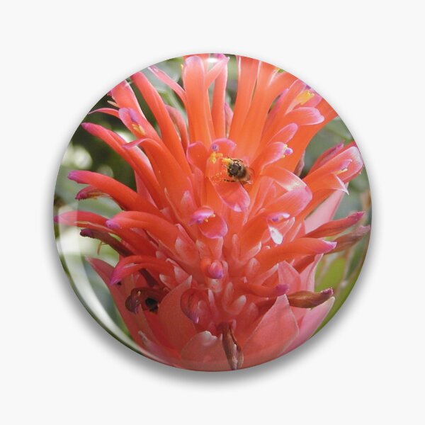 Item preview, Australian Native Flower with Bees designed and sold by MottoDigging.