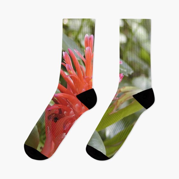 Item preview, Australian Native Flower with Bees designed and sold by MottoDigging.