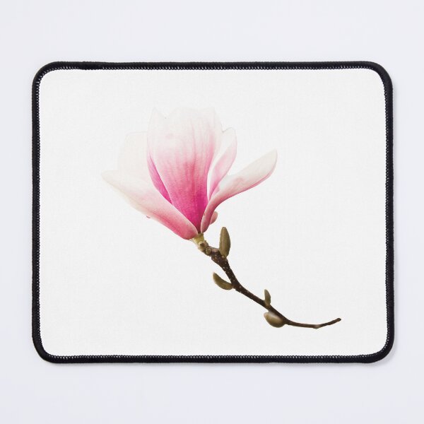 Item preview, Pink Magnolia Blossom | Isolated Magnolia Flower  designed and sold by WhimsyAndMojo.