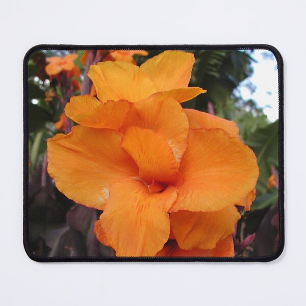 Item preview, Beautiful Orange Tropical Flower  designed and sold by MottoDigging.