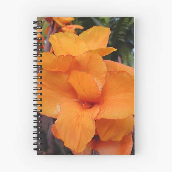 Item preview, Beautiful Orange Tropical Flower  designed and sold by MottoDigging.