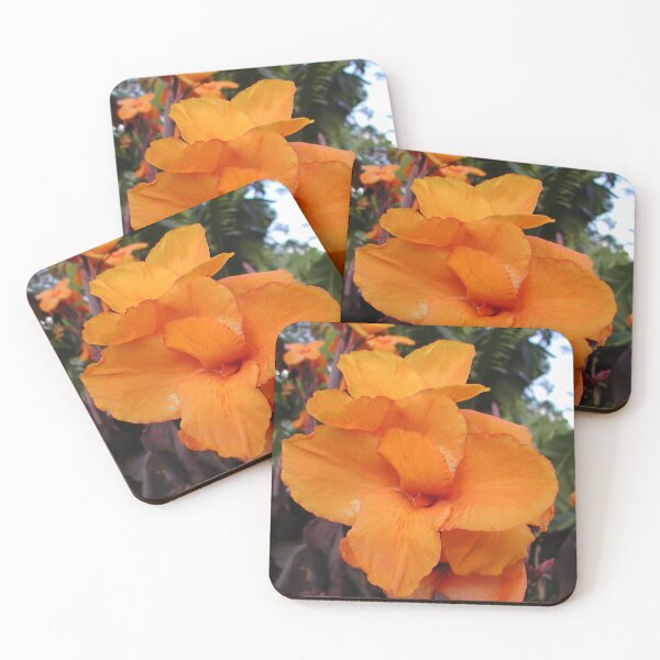 Item preview, Beautiful Orange Tropical Flower  designed and sold by MottoDigging.