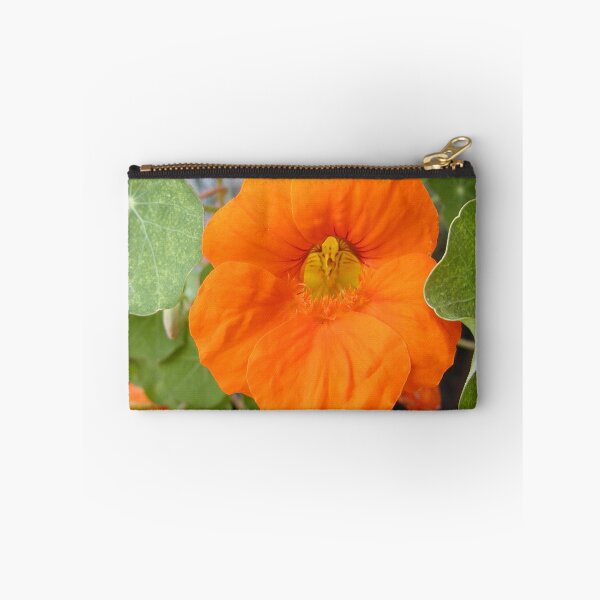 Item preview, Nasturtium Orange Flower designed and sold by MottoDigging.