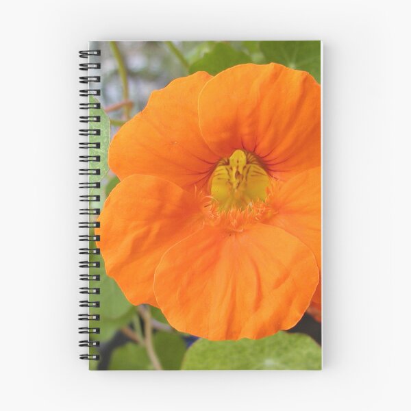 Item preview, Nasturtium Orange Flower designed and sold by MottoDigging.