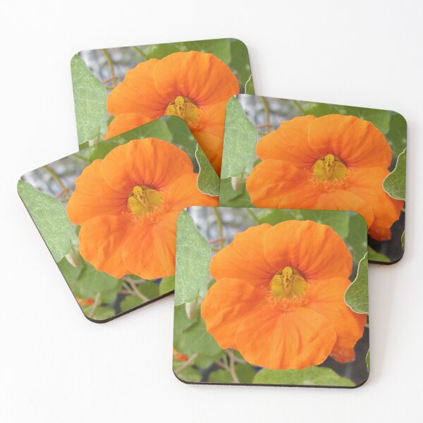 Item preview, Nasturtium Orange Flower designed and sold by MottoDigging.