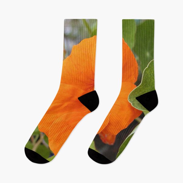 Item preview, Nasturtium Orange Flower designed and sold by MottoDigging.