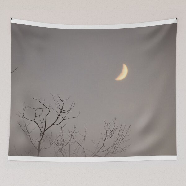 Item preview, Spooky night  designed and sold by Views4Days.